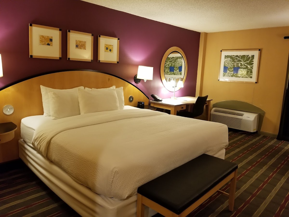 Pier 5 Hotel Baltimore photo 3