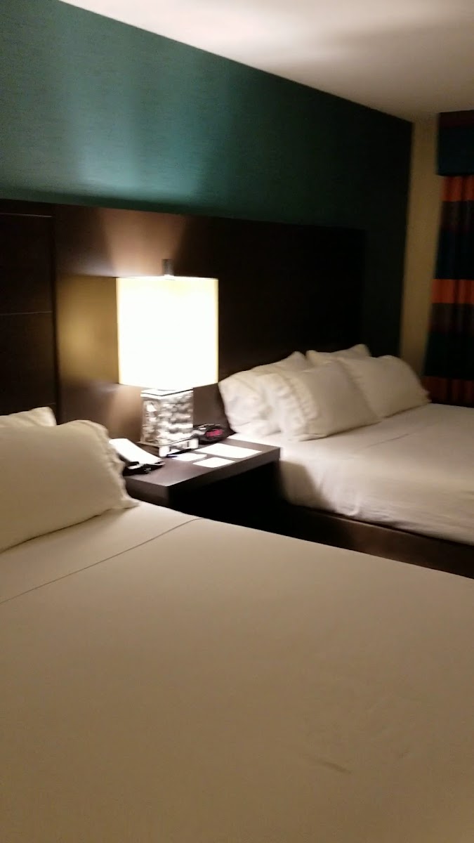 Holiday Inn Express Moline - Quad Cities by IHG photo 2