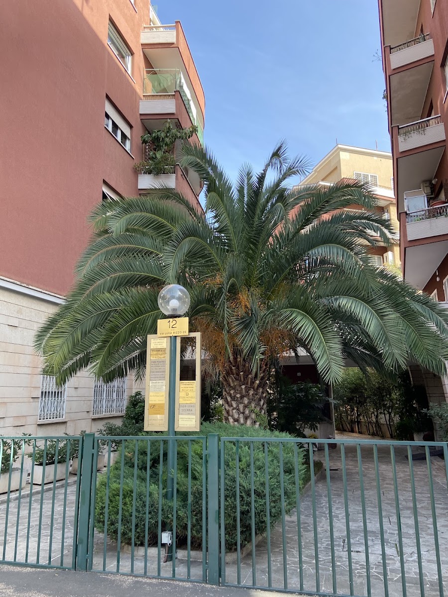 Vatican Rooms Accommodation