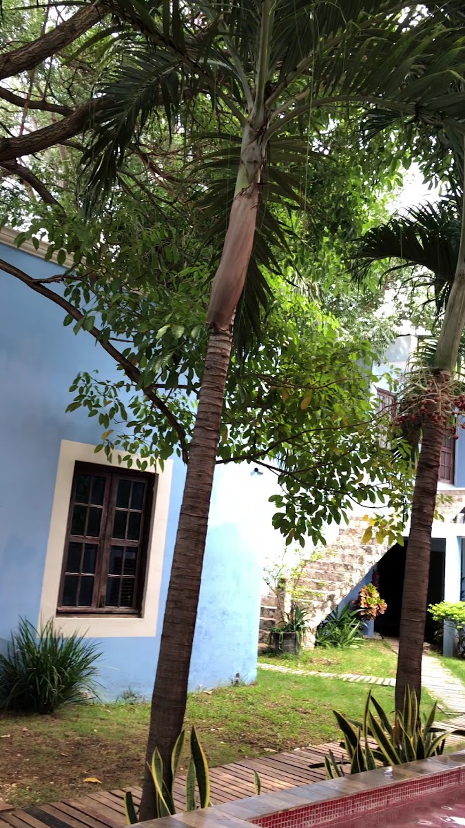 Hotel Maculis photo 2