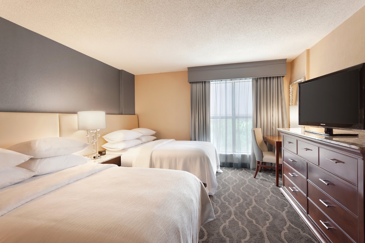 Embassy Suites by Hilton Atlanta Airport photo 3
