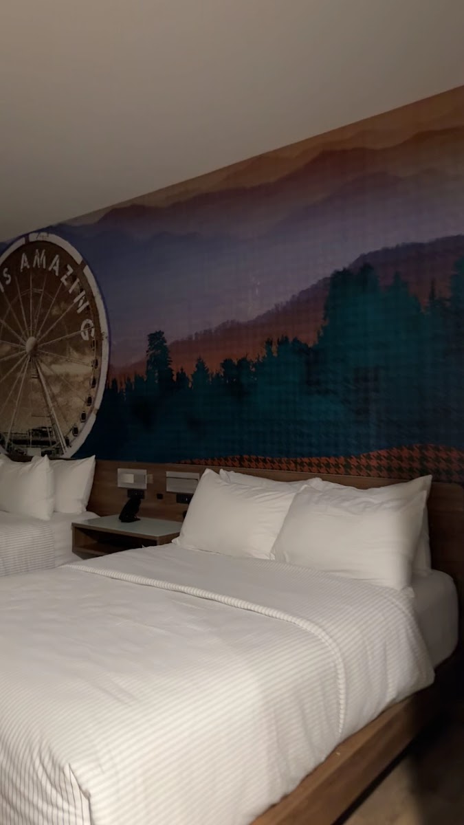 Cambria Hotel Pigeon Forge photo 2