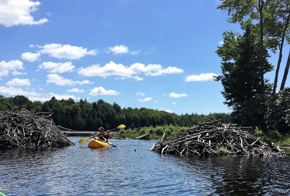Beaver Lake Estates