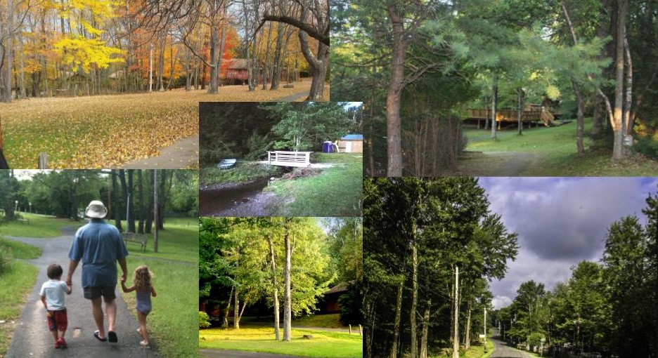 Beaver Lake Estates photo 3