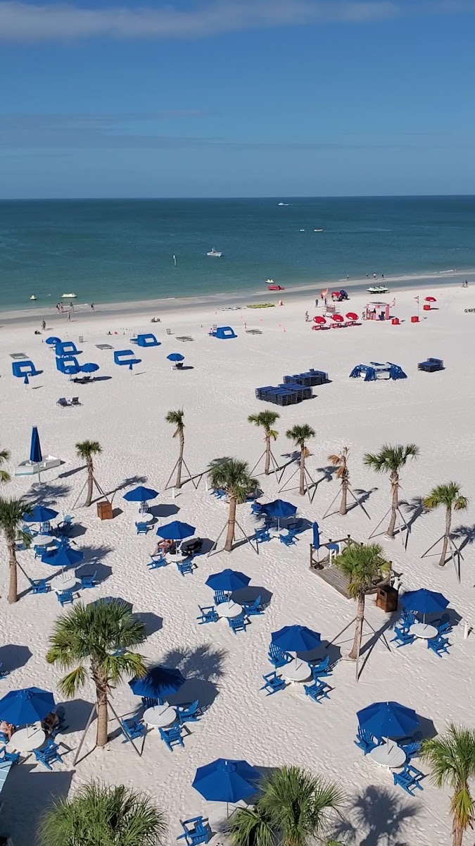 Hilton Clearwater Beach Resort & Spa photo 2