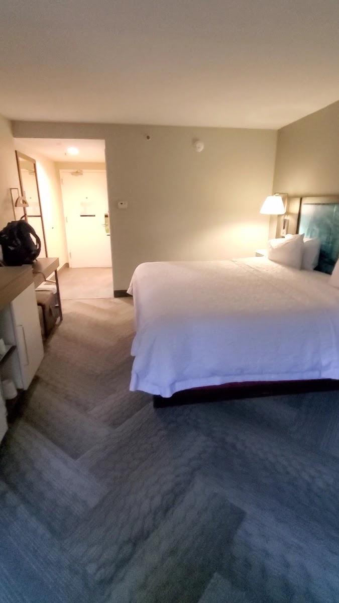 Hampton Inn Tampa-Veterans Expwy (Airport North) photo 2