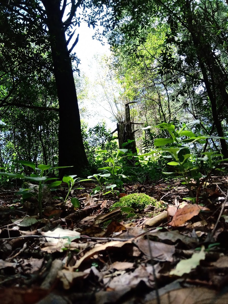 Parque Ecoturístico Santa Rosalía photo 2