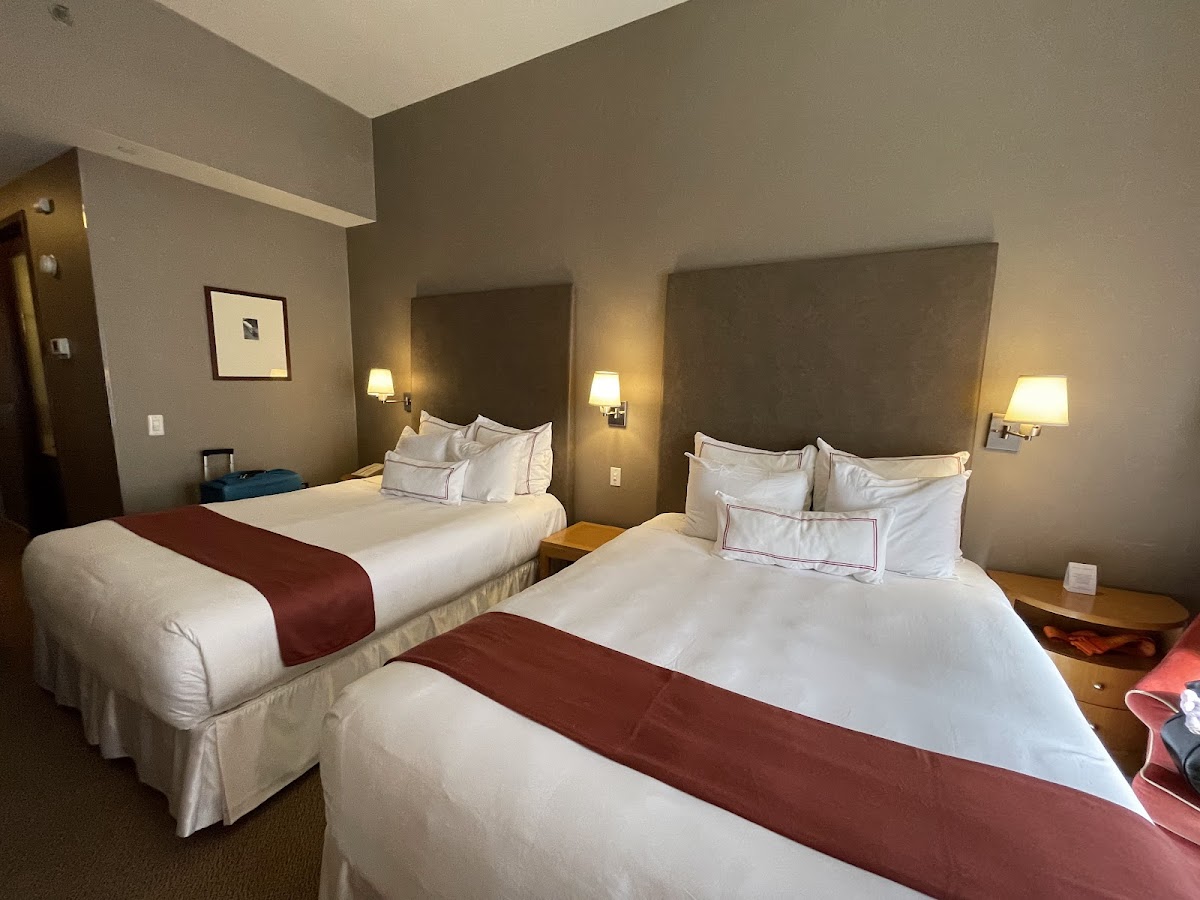 Hotel Giraffe by Library Hotel Collection photo 3