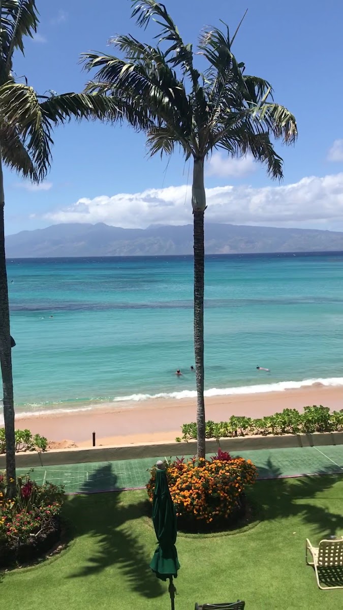 Hale Napili photo 2