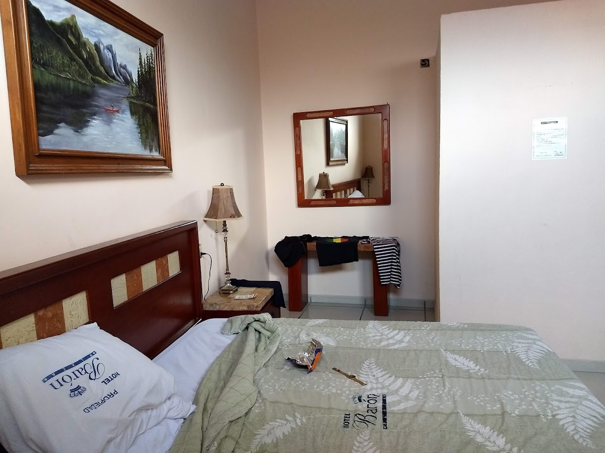 Hotel Baron Plaza photo 2