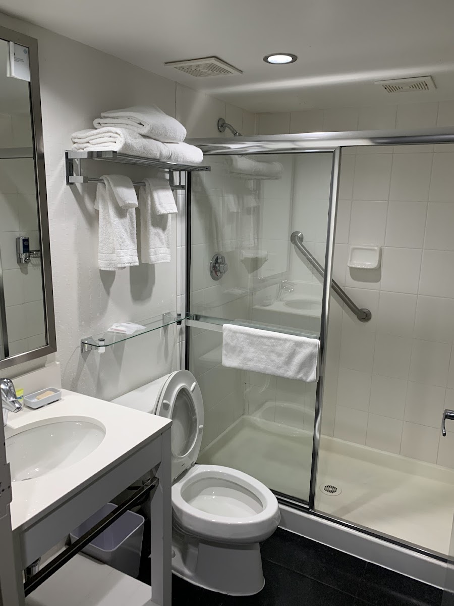 The Chelsean New York Hotel photo 3