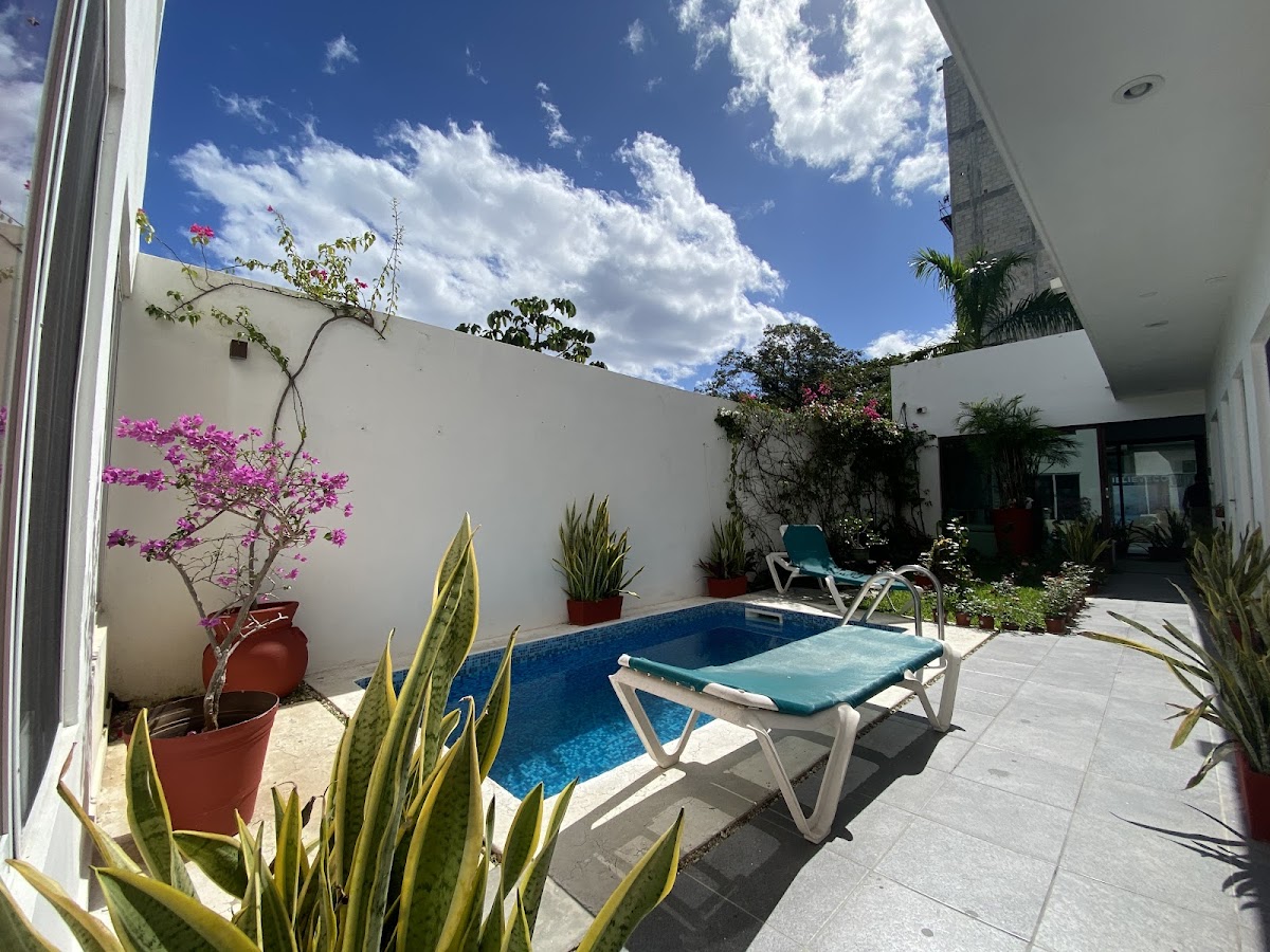 Hotel Suite 24 photo 3