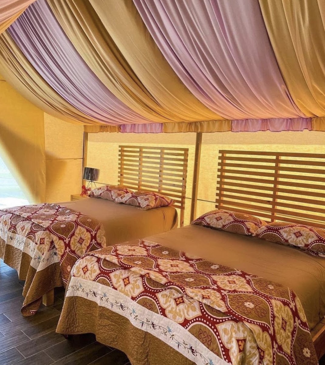 Real Glamping photo 3
