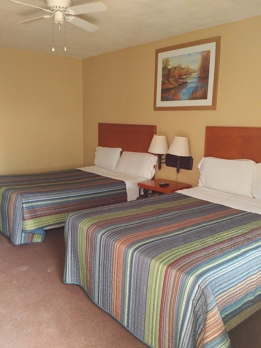 Hotel La Embajada photo 2