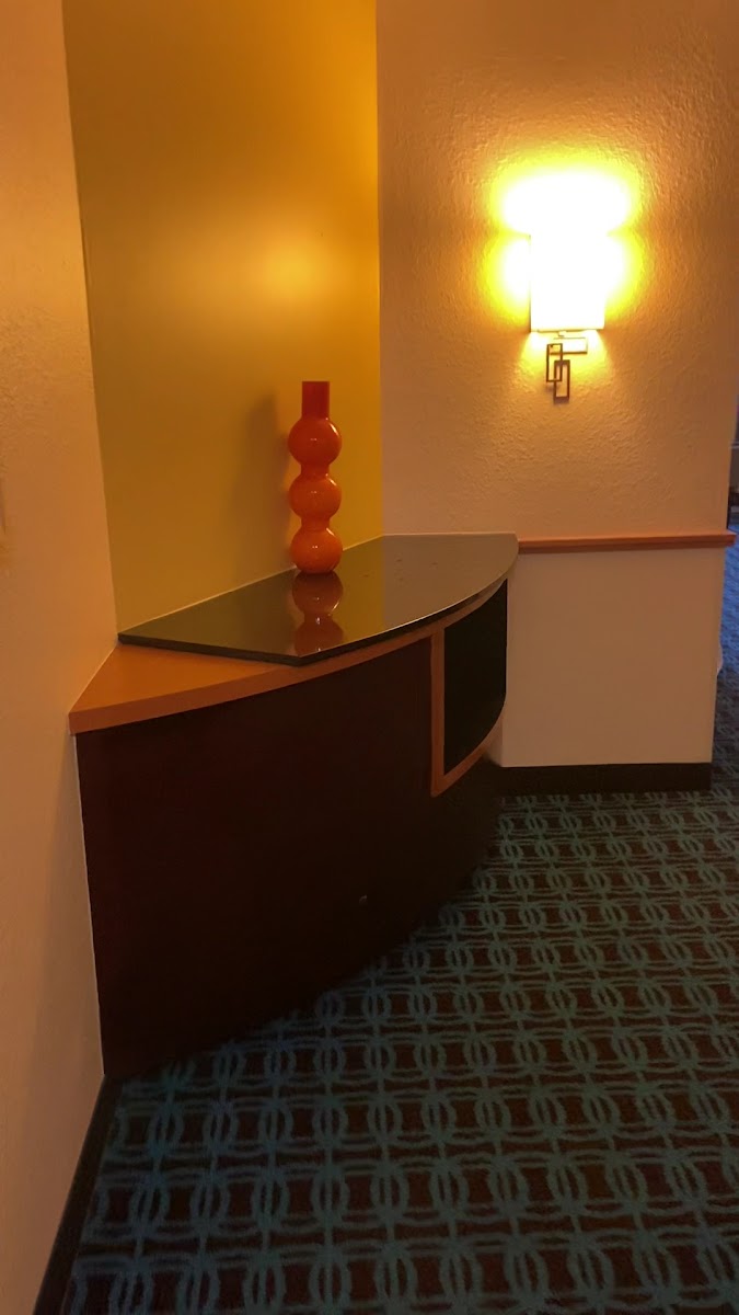 Fairfield by Marriott Inn & Suites Naples photo 2