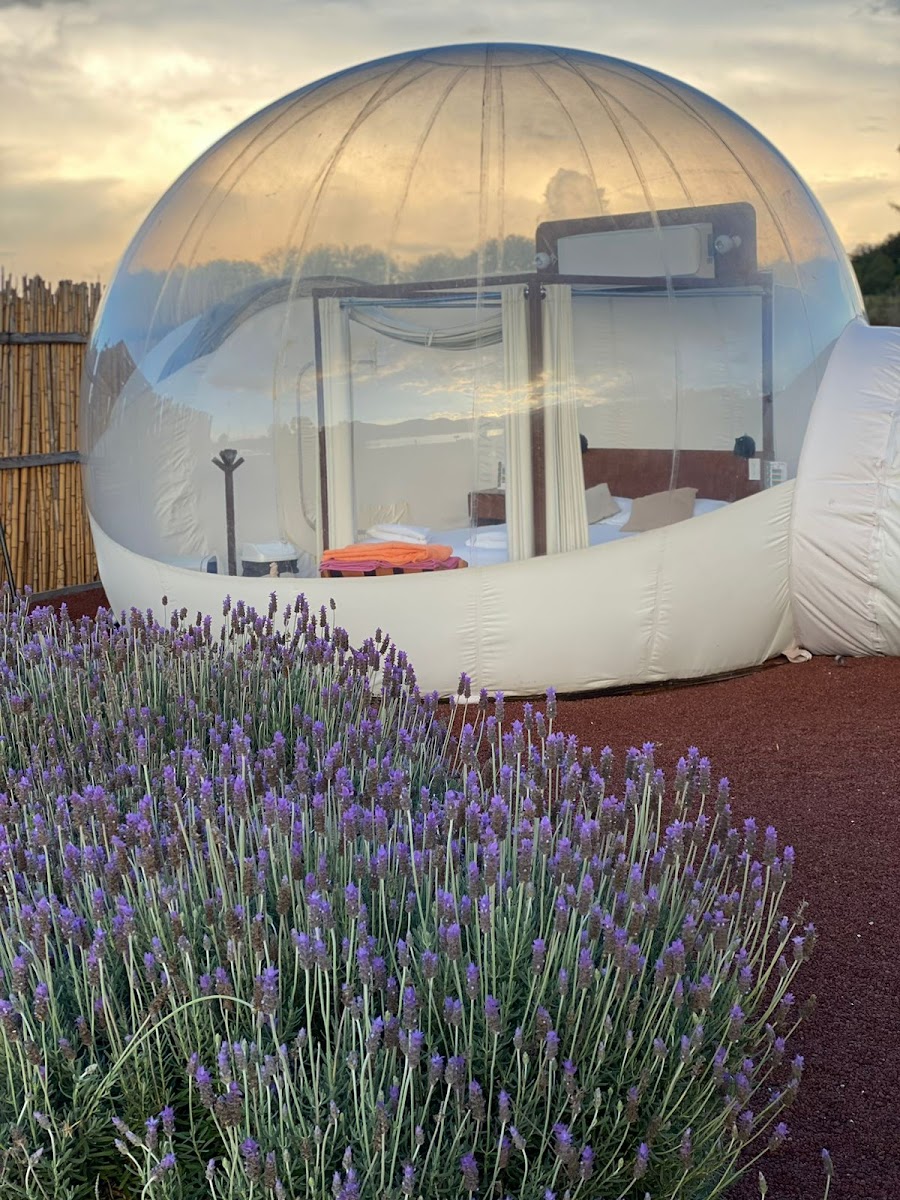 Las Marìas Hotel Bubble Glamping Fishing & kayak