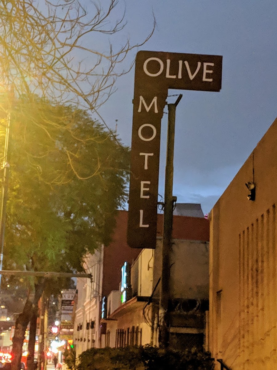Olive Motel photo 3