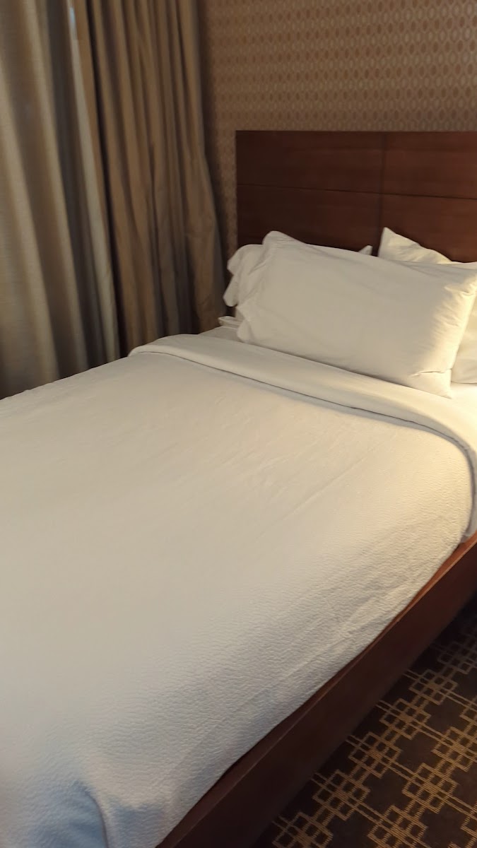 Hilton Garden Inn New York/Midtown Park Ave photo 2