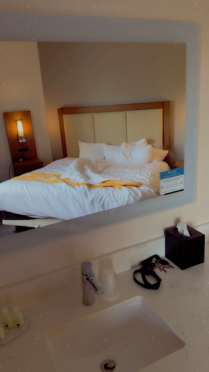 Quality Suites Lansing West photo 2