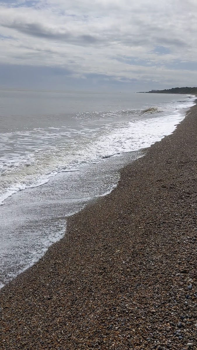 The Ship at Dunwich photo 2