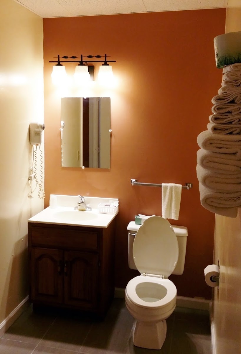 Enfield Inn photo 2