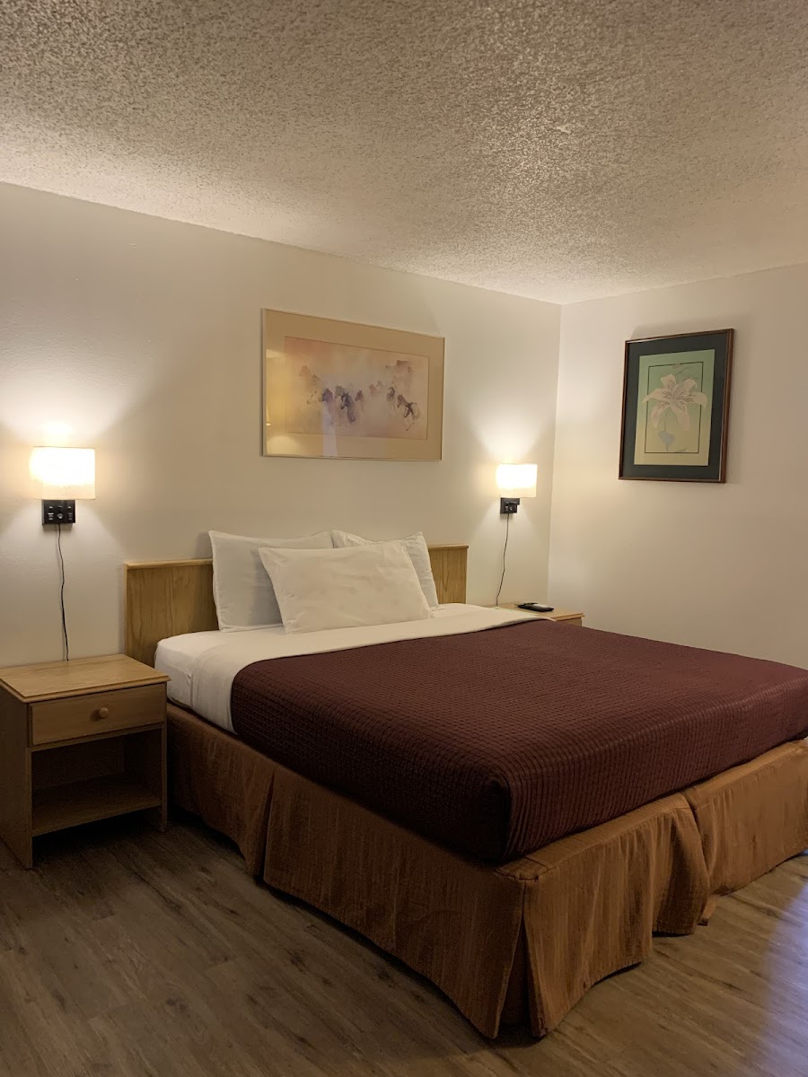 Motel 8 Willcox