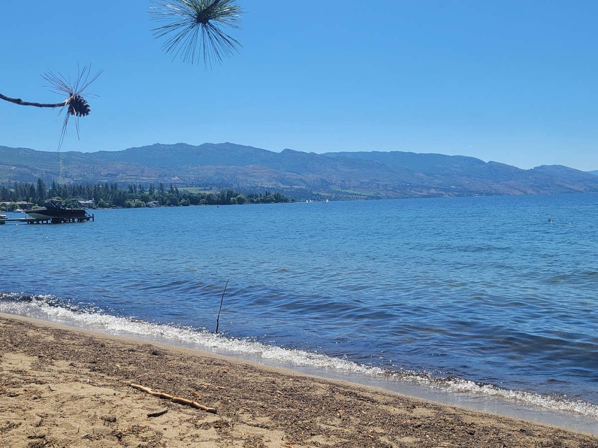 BlueBird Beach photo 3