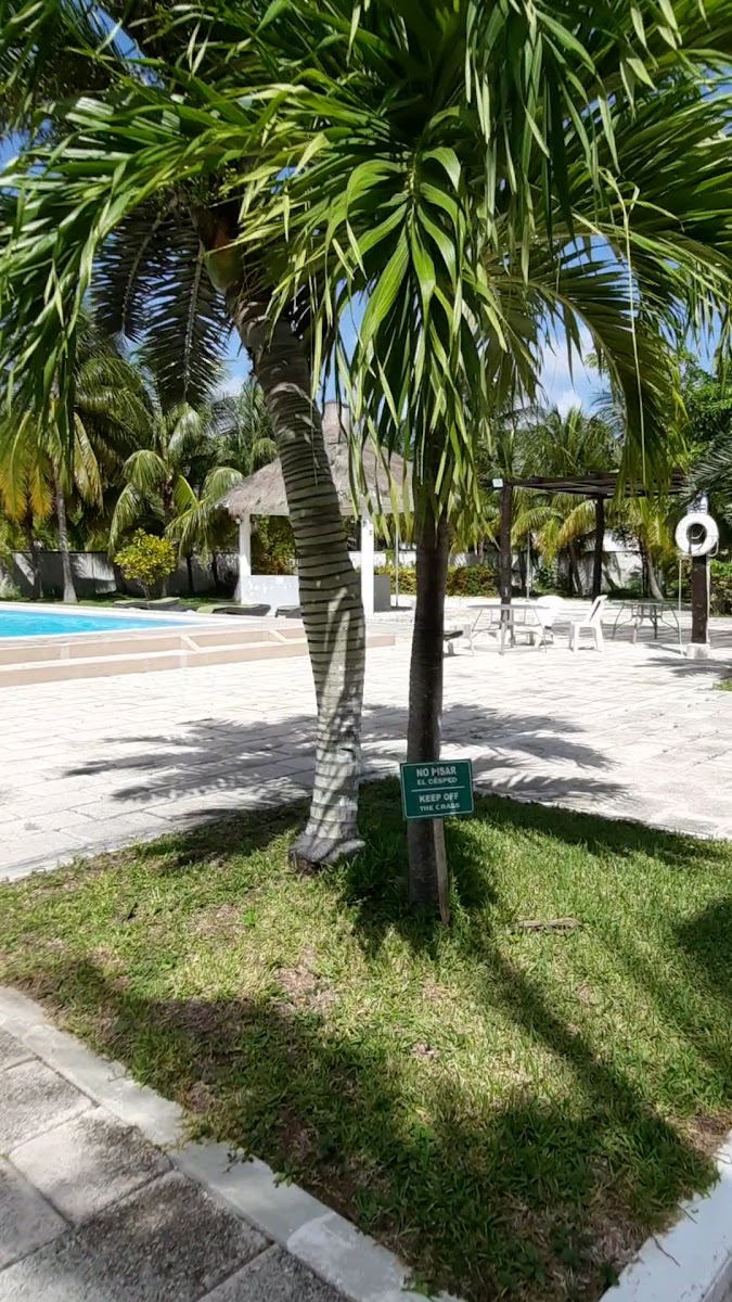 Hotel Calypso Cancun photo 2