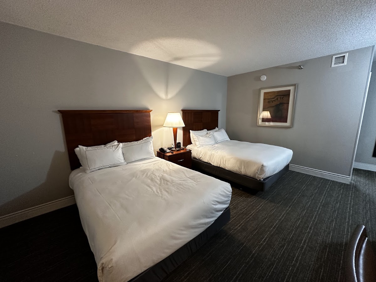 DoubleTree by Hilton Hotel Minneapolis - Park Place photo 3