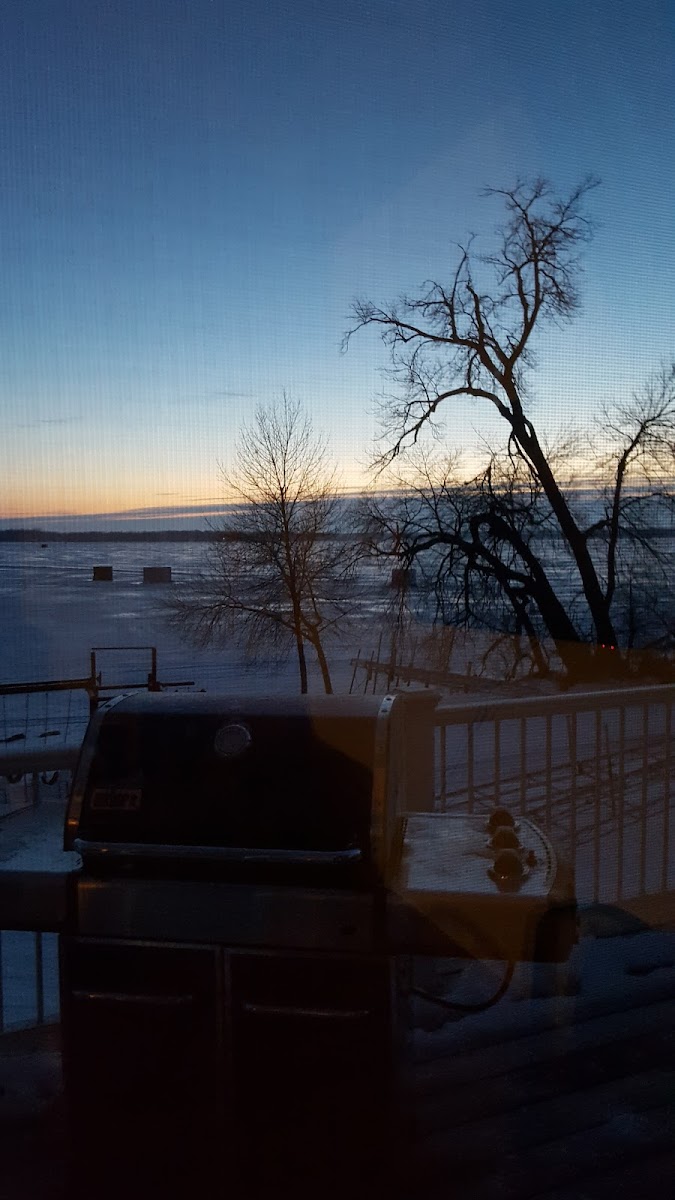 Linden Park Resort photo 3