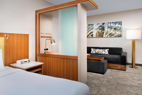 SpringHill Suites by Marriott Potomac Mills Woodbridge photo 2