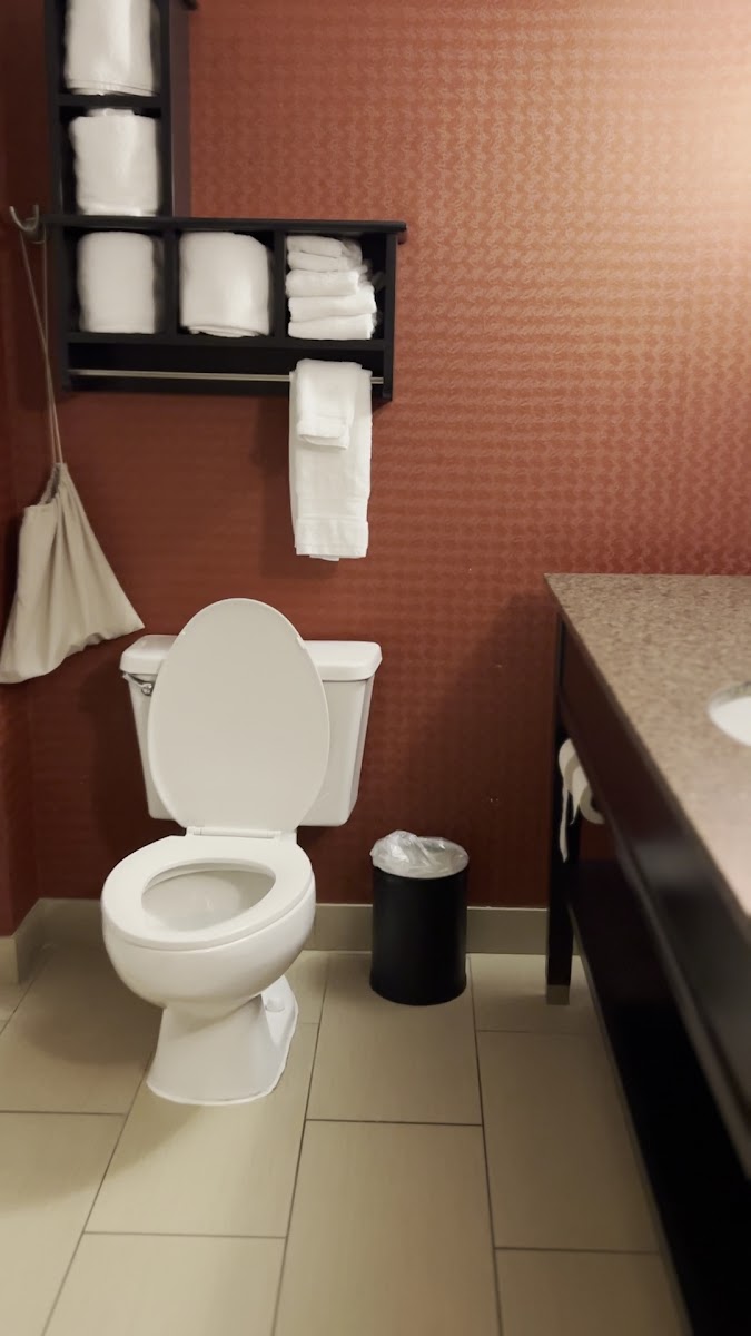 Hampton Inn Columbus-Airport photo 2