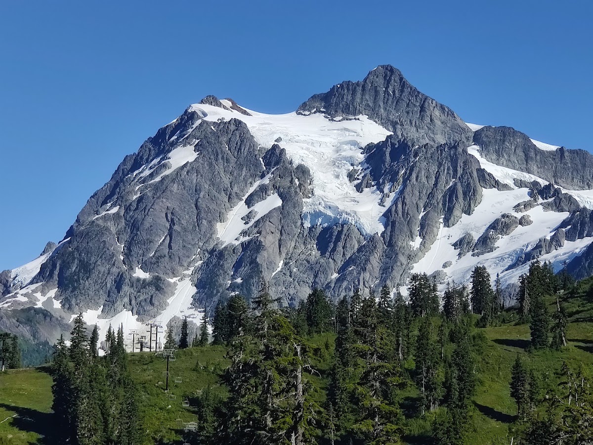 Mt. Baker Ski Area - Heather Meadows Base Area photo 3