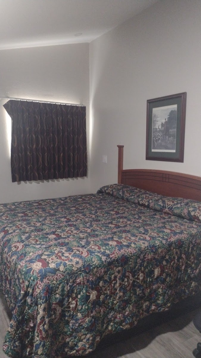Hallmark Inn photo 2