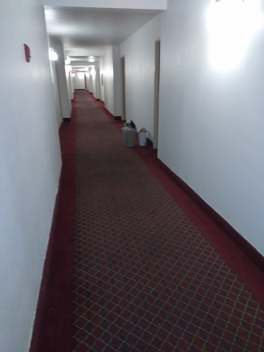 Vacation Inn Phoenix photo 3
