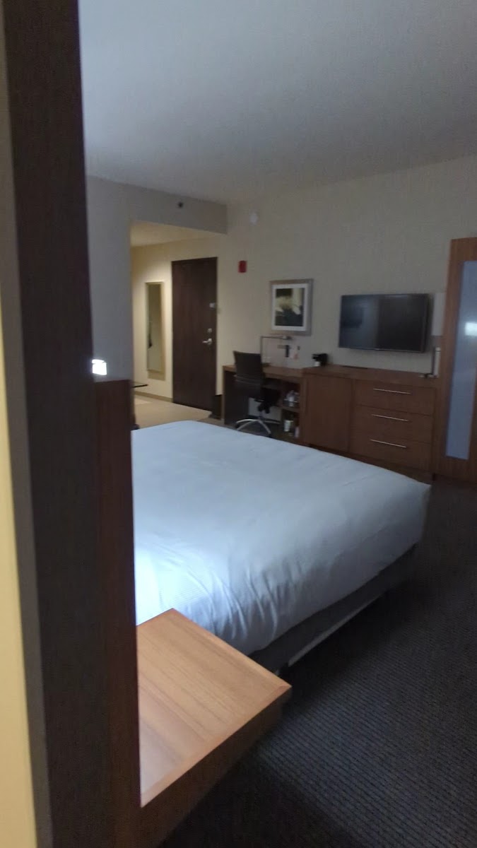 Hyatt Place Chicago/Downtown-The Loop photo 2