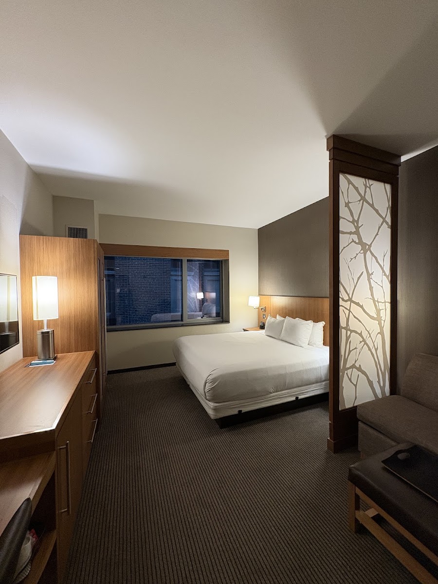 Hyatt Place Chicago/Downtown-The Loop photo 3