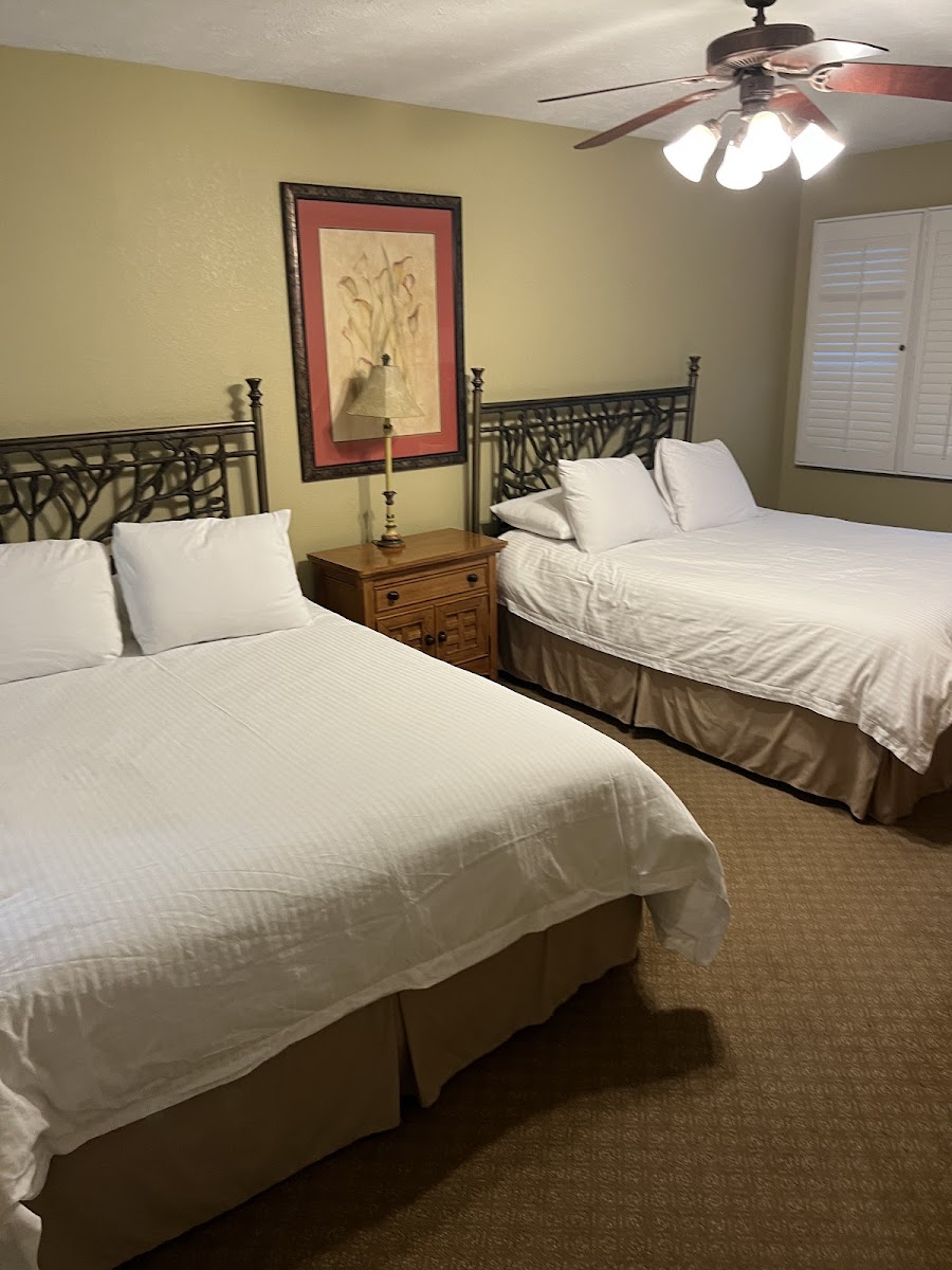 Prestige Properties Rentals photo 2