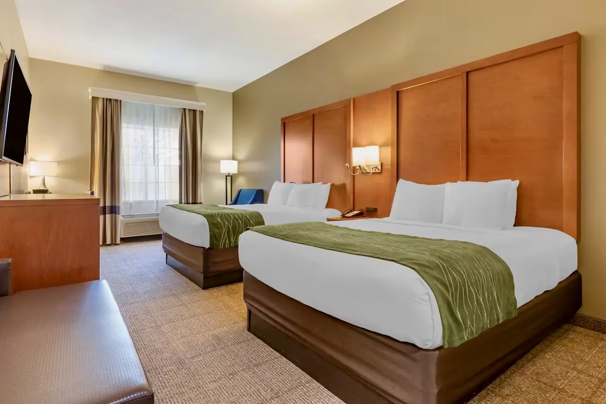 Comfort Inn & Suites Orangeburg photo 3