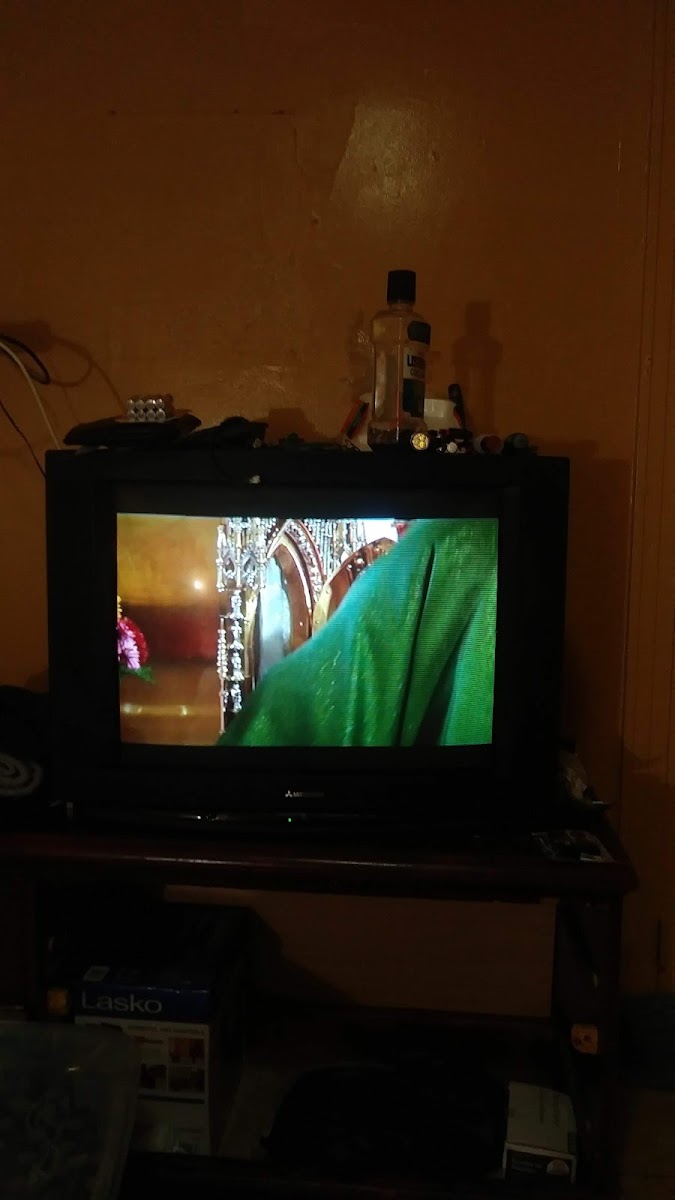 Melrose Motel photo 2