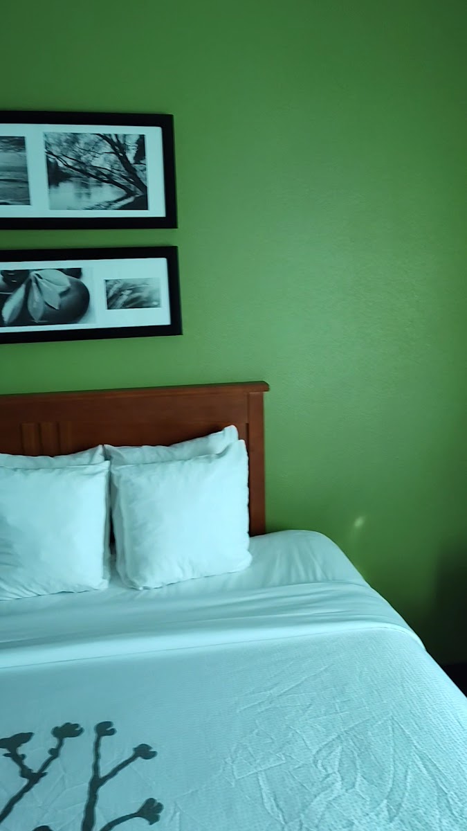 Sleep Inn & Suites Winchester near University