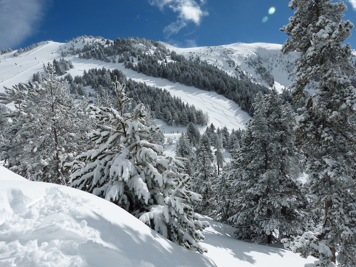 Estació d'Esquí i Muntanya de Masella