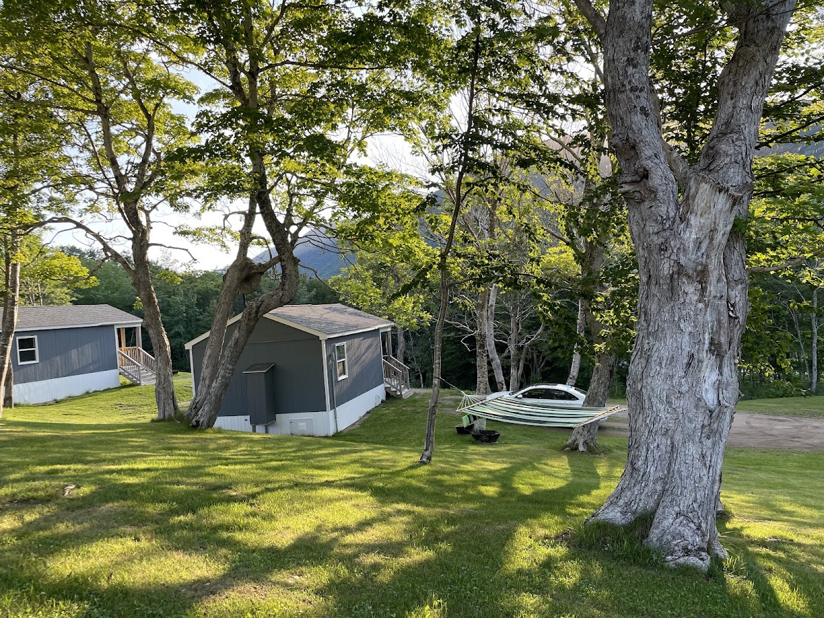 Maple Ridge Cabins photo 3