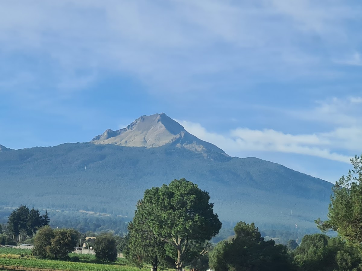 Matlalcueitl