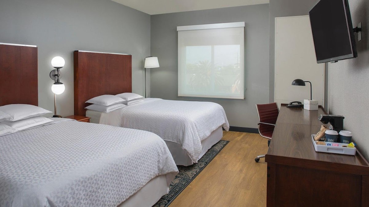 Four Points by Sheraton Houston Hobby Airport photo 3