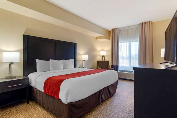 Comfort Inn & Suites Montgomery Eastchase photo 2