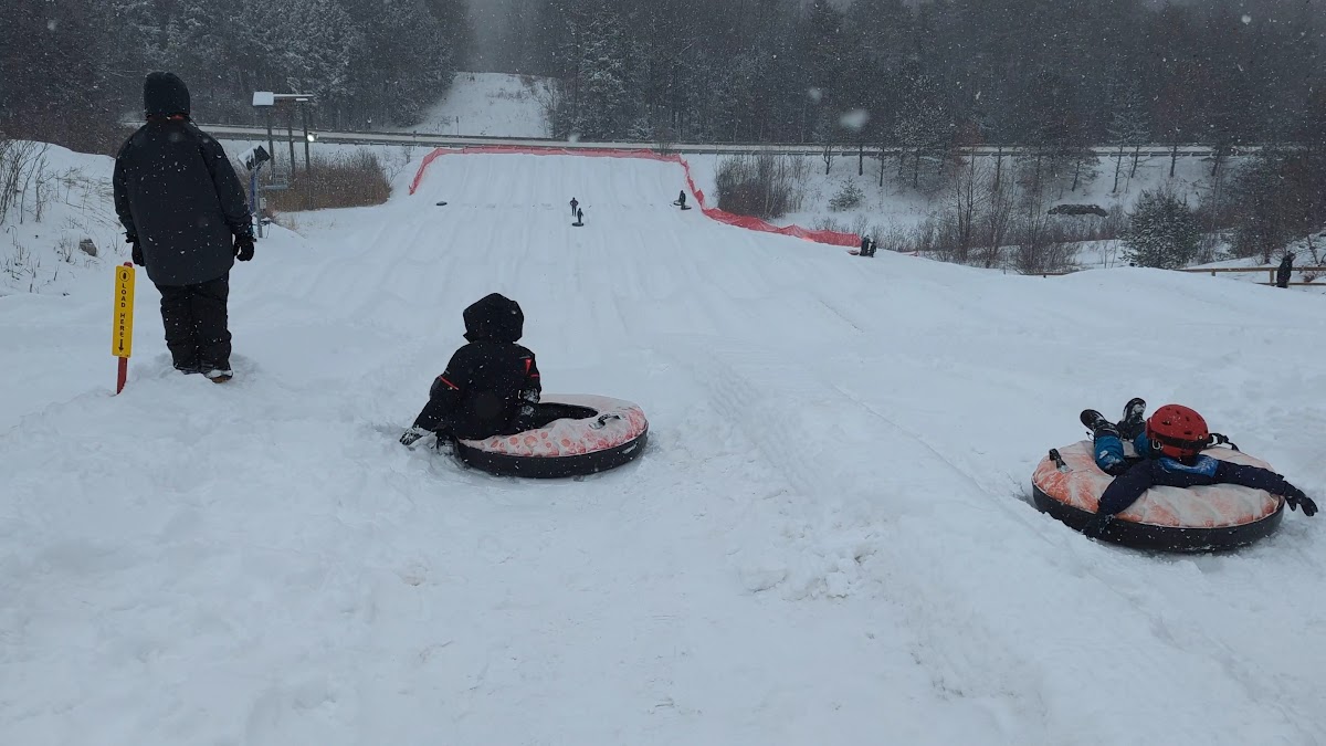Bousquet Mountain Ski Area photo 2