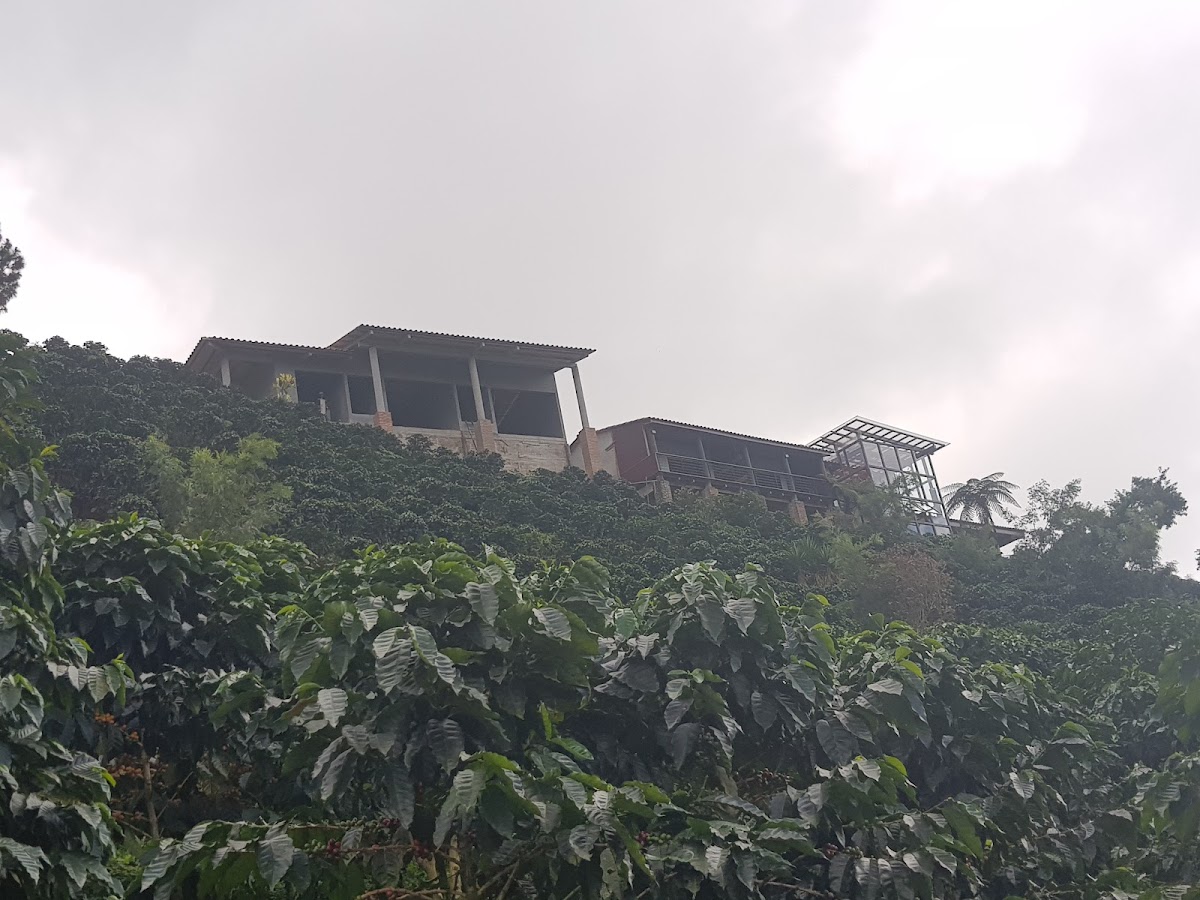 Finca San Francisco photo 3