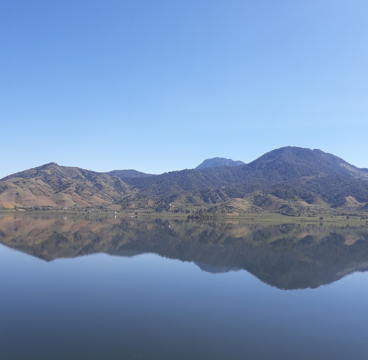 Presa del Bosque