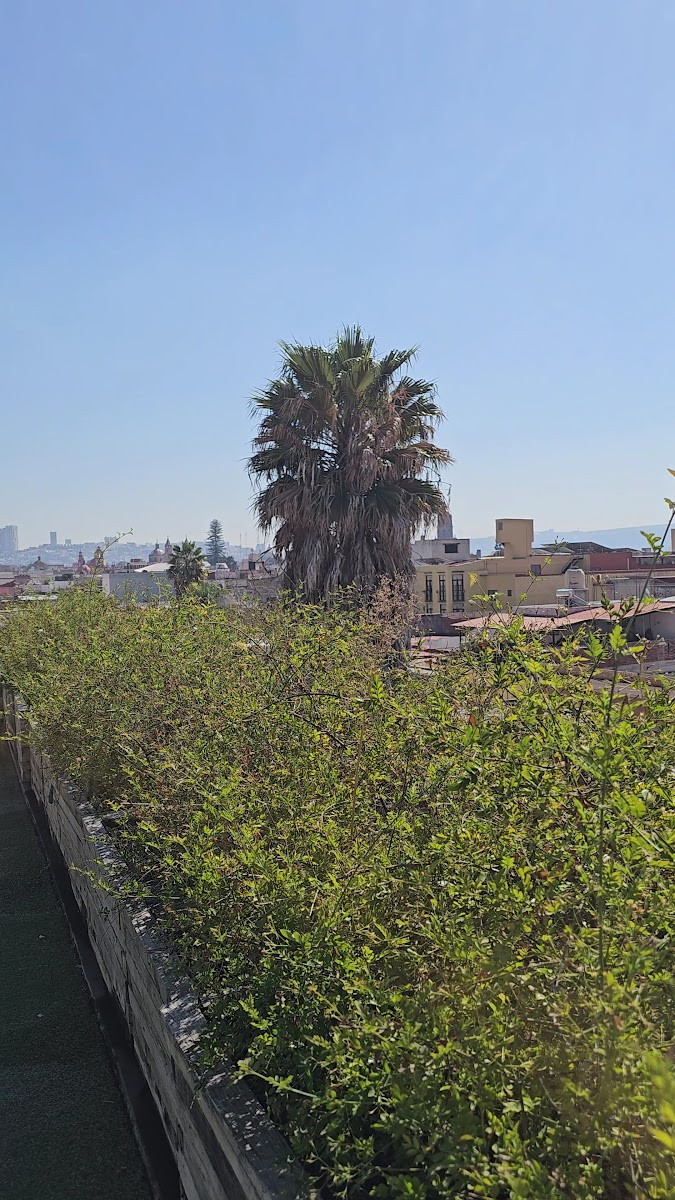 Morelos by Homi rent photo 2